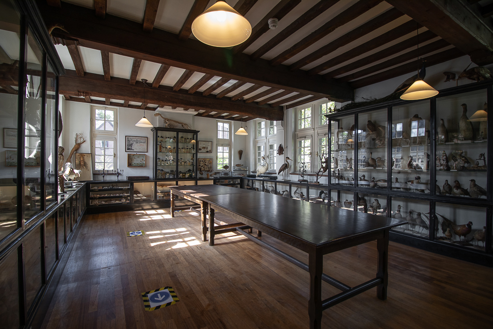 Het 'bruin museum'