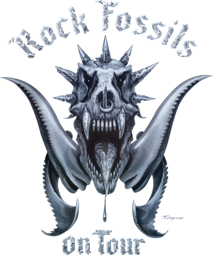 Rock Fossils on Tour Natuurhistorisch Museum Maastricht