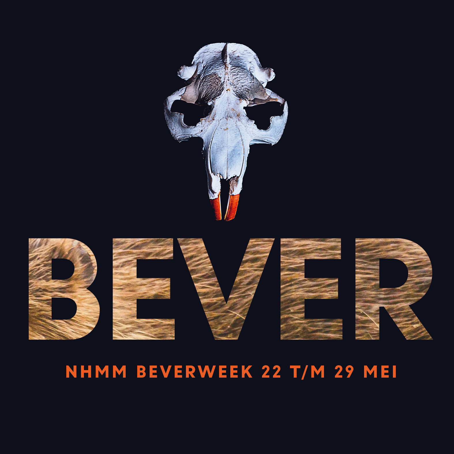 Aankondiging beverweek Aankondiging Beverweek