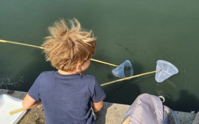 Waterbeestjessafari!