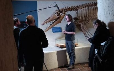 Prof. dr. Douwe van Hinsbergen in ons museum voor filmopname.