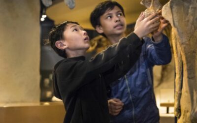 Vol – Ongelofelijke Dinomiddag