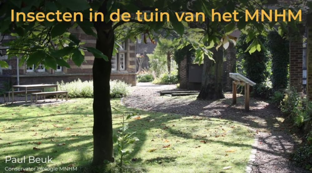 2022 Paul Beuk insecten In de tuin van het NHMM