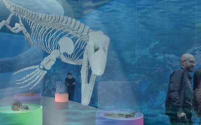 Nieuwe plannen voor ons museum