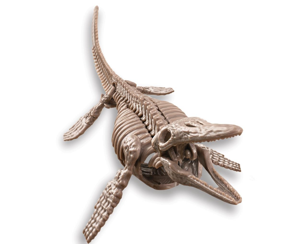 Mosasaurus