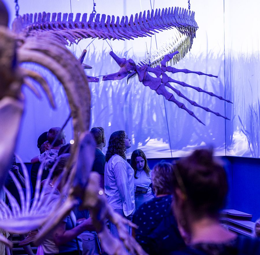 RL20240818_NHM_Gemeente_Maastricht_Mosasaurus_Experience_tweede_selectie