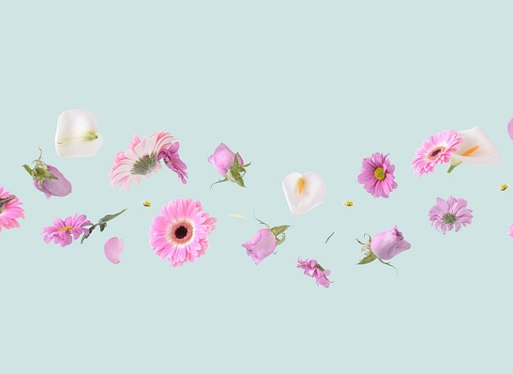 Colorful,Flowers,On,A,Green,Background
