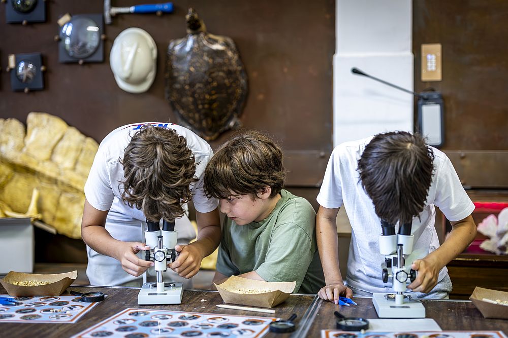 Natuurhistorisch, Museum, Maastricht