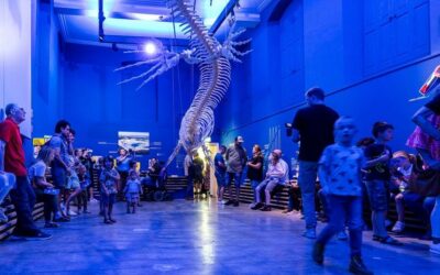 Persbericht: Gratis familiedag in het Natuurhistorisch Museum Maastricht