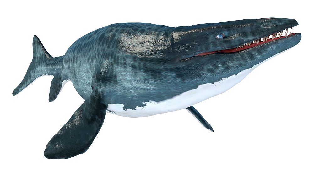 3d,Rendering,Of,A,Large,Marine,Extinct,Reptile,Mosasaur,Isolated