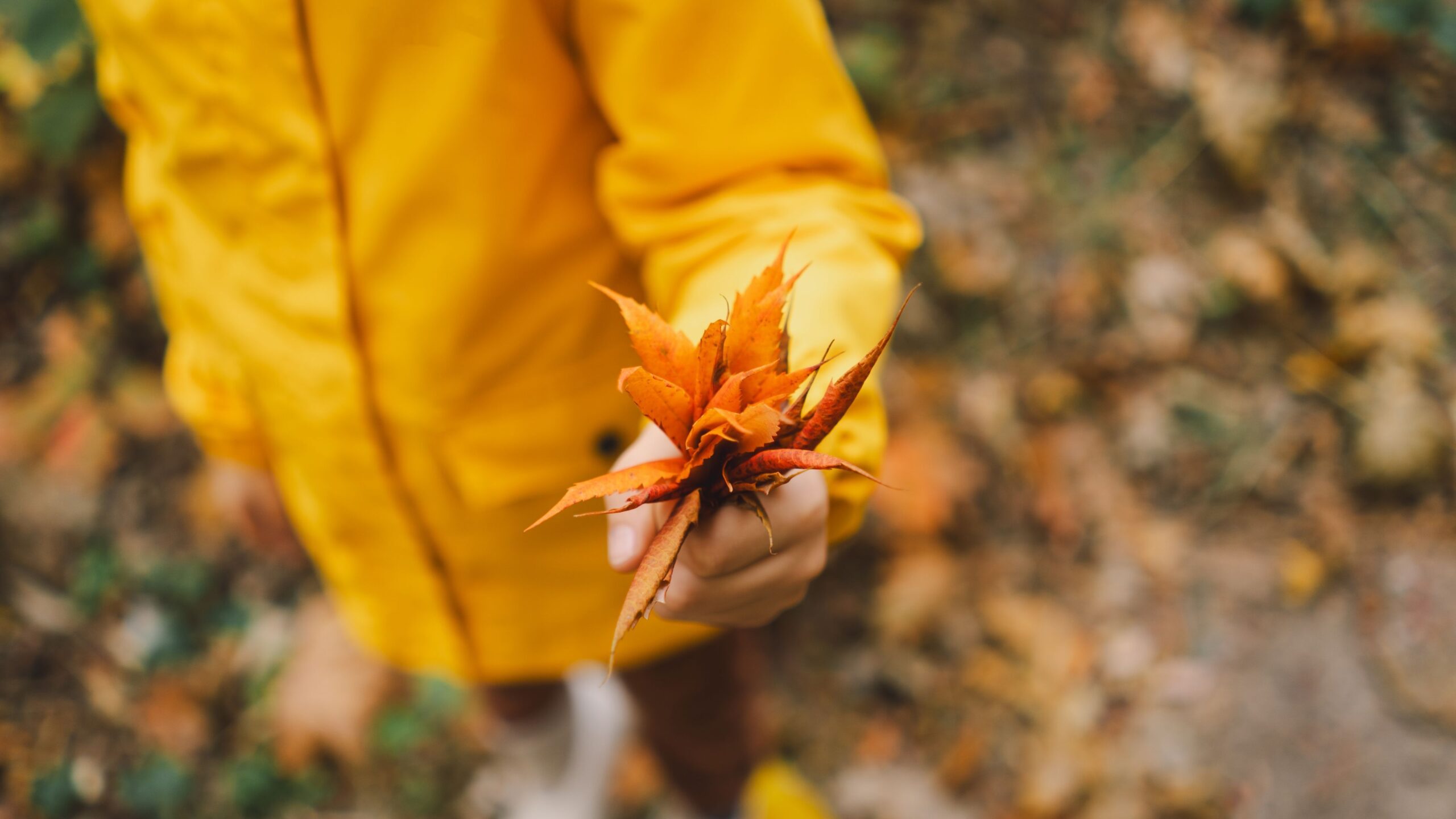 herfst