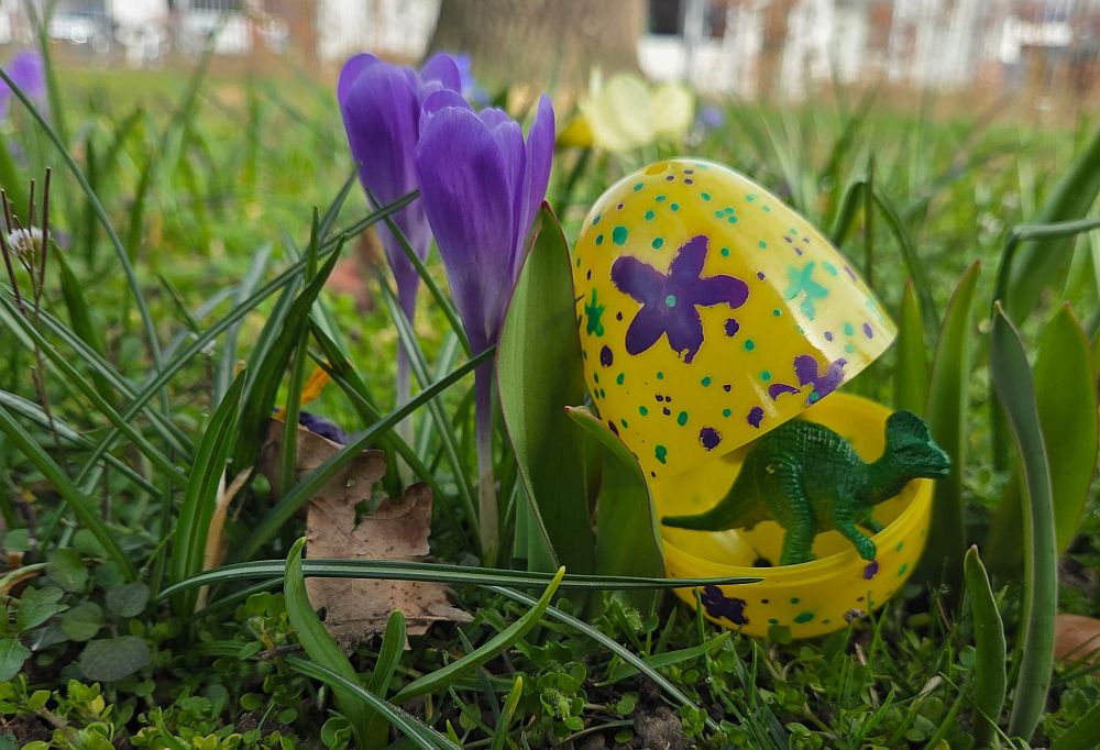 Een dino ei hoort erbij 1000