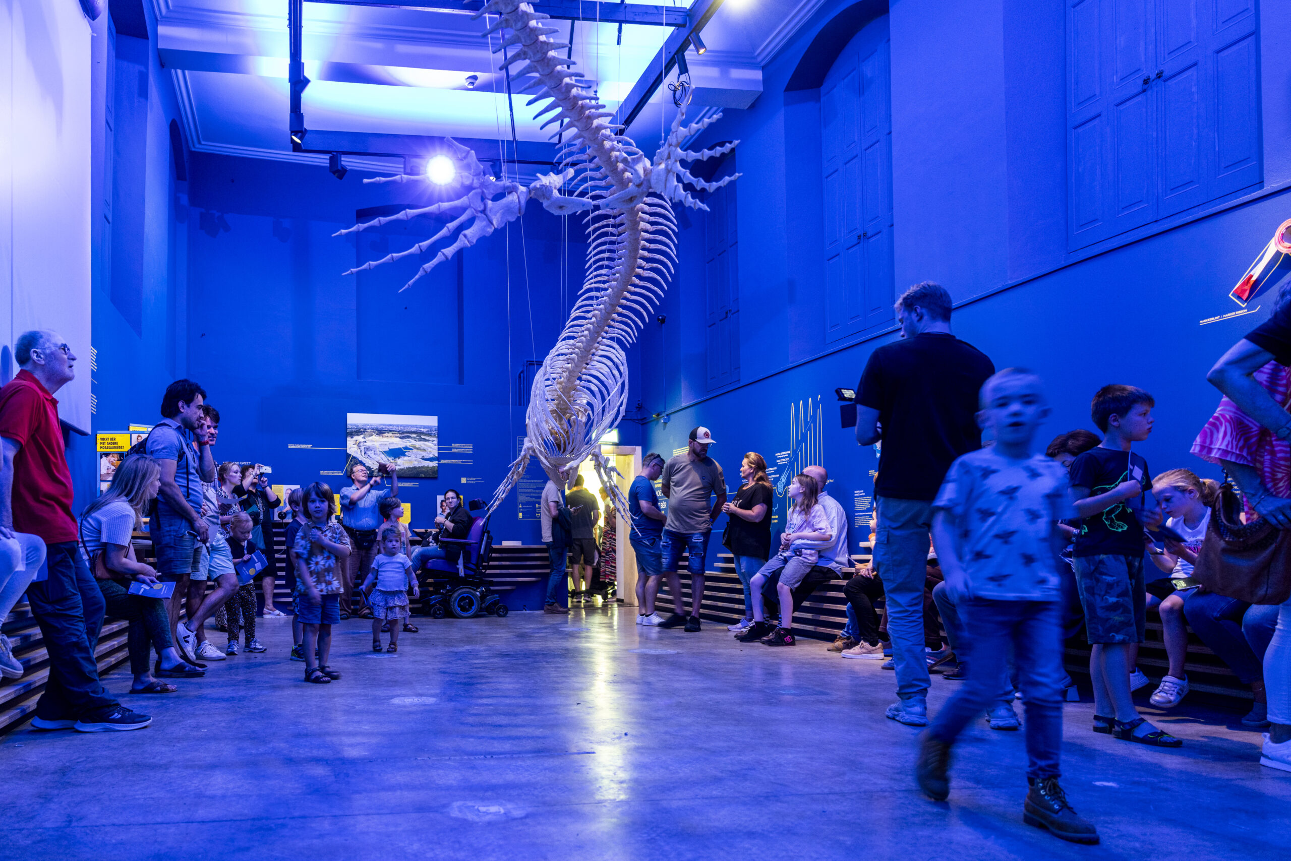 RL20240818_NHM_Gemeente_Maastricht_Mosasaurus_Experience_eerste_selectie