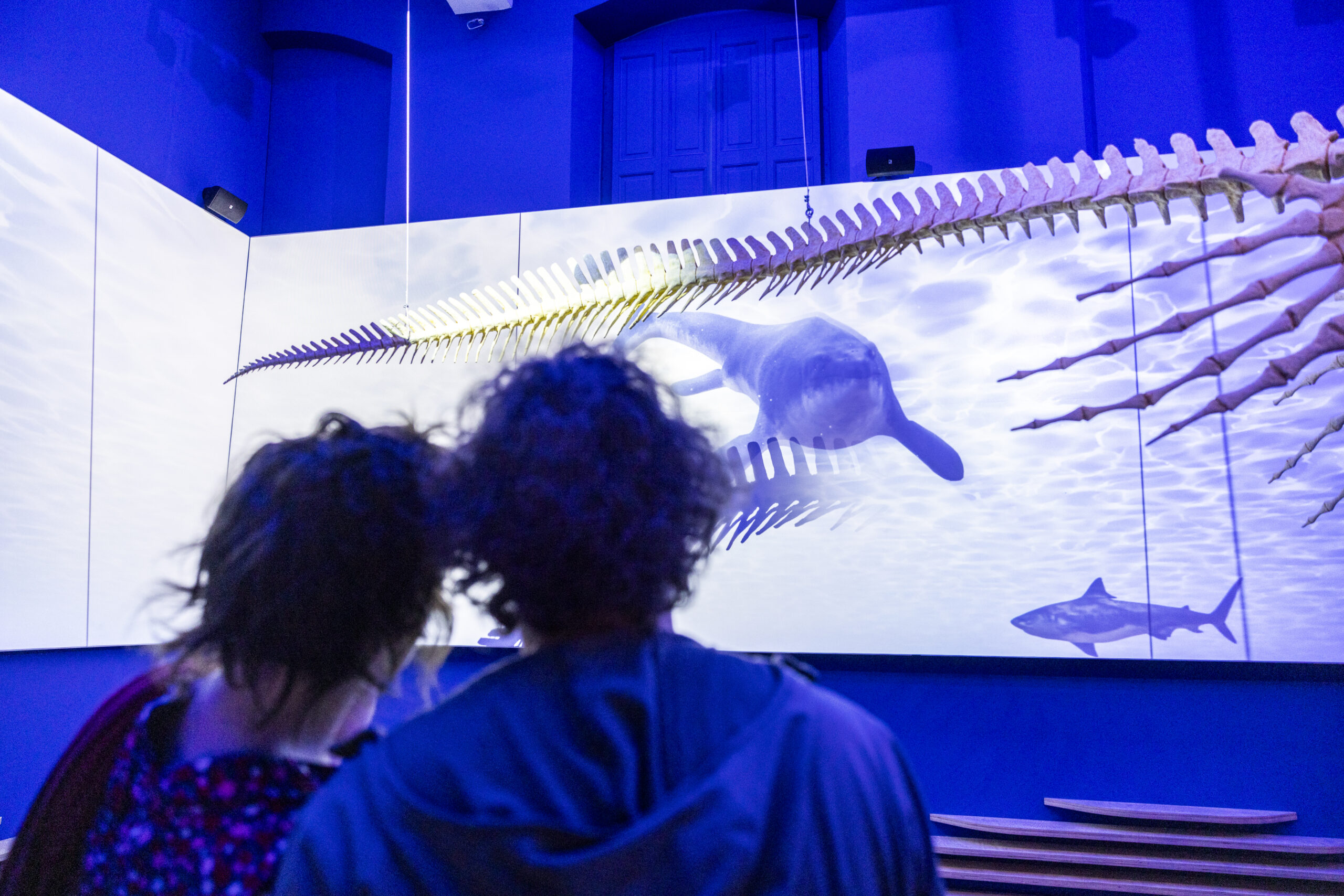 RL20240818_NHM_Gemeente_Maastricht_Mosasaurus_Experience_tweede_selectie
