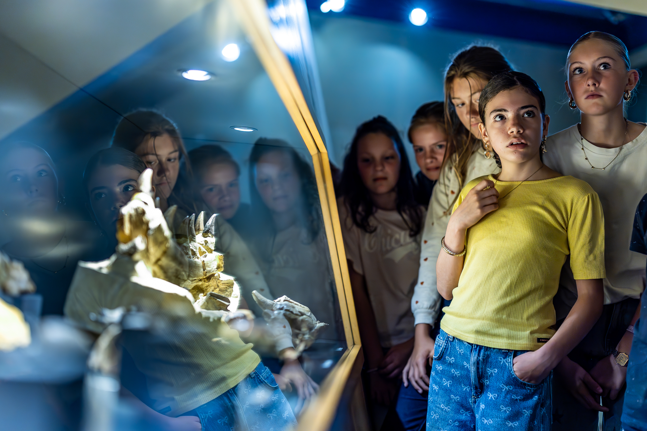 020625, Maastricht: Natuurhistorisch Museum. Foto: Marcel van Hoorn.