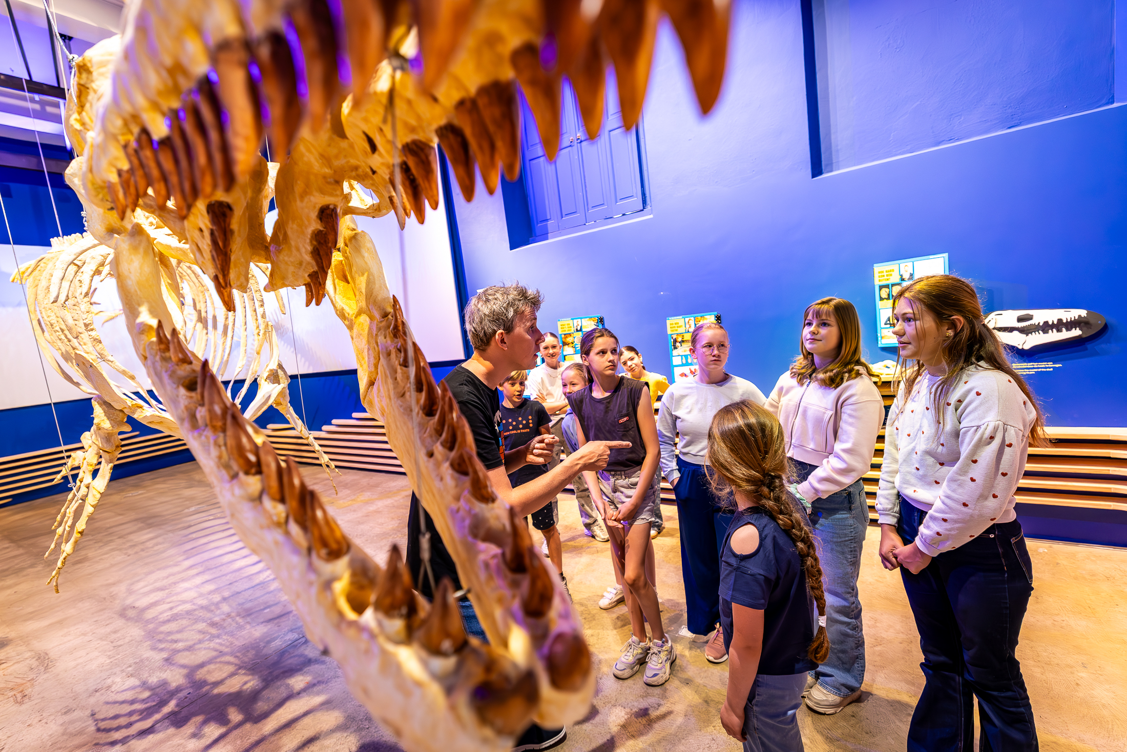 020625, Maastricht: Natuurhistorisch Museum. Foto: Marcel van Hoorn.
